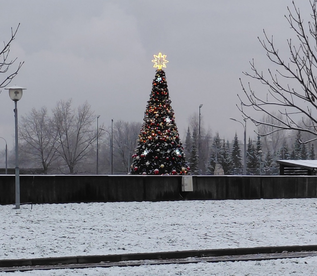 Наша ёлка в парке Радуга. Фото с группы.