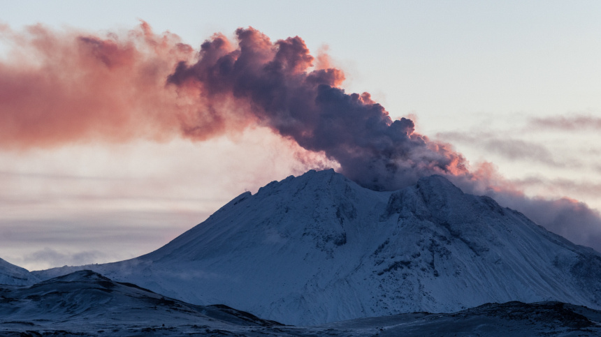    Фото: Елена Верещака/ТАСС; 5-tv.ru
