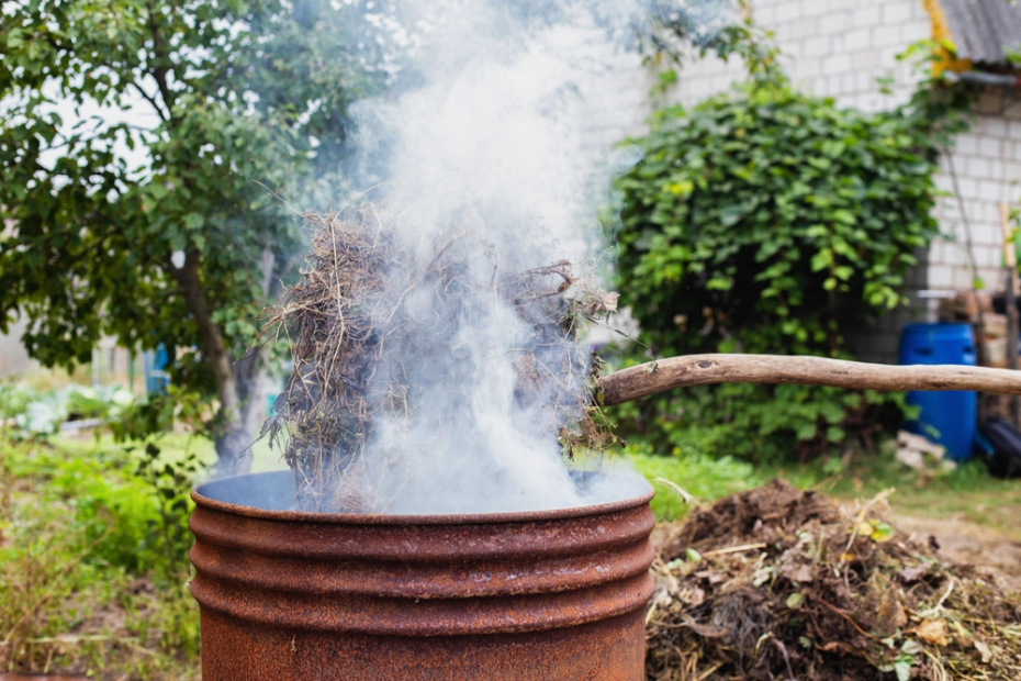    Shutterstock/FOTODOM