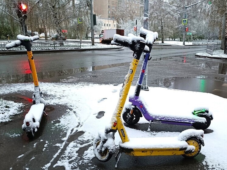     Фото: Николай Курилов / МК-Урал.