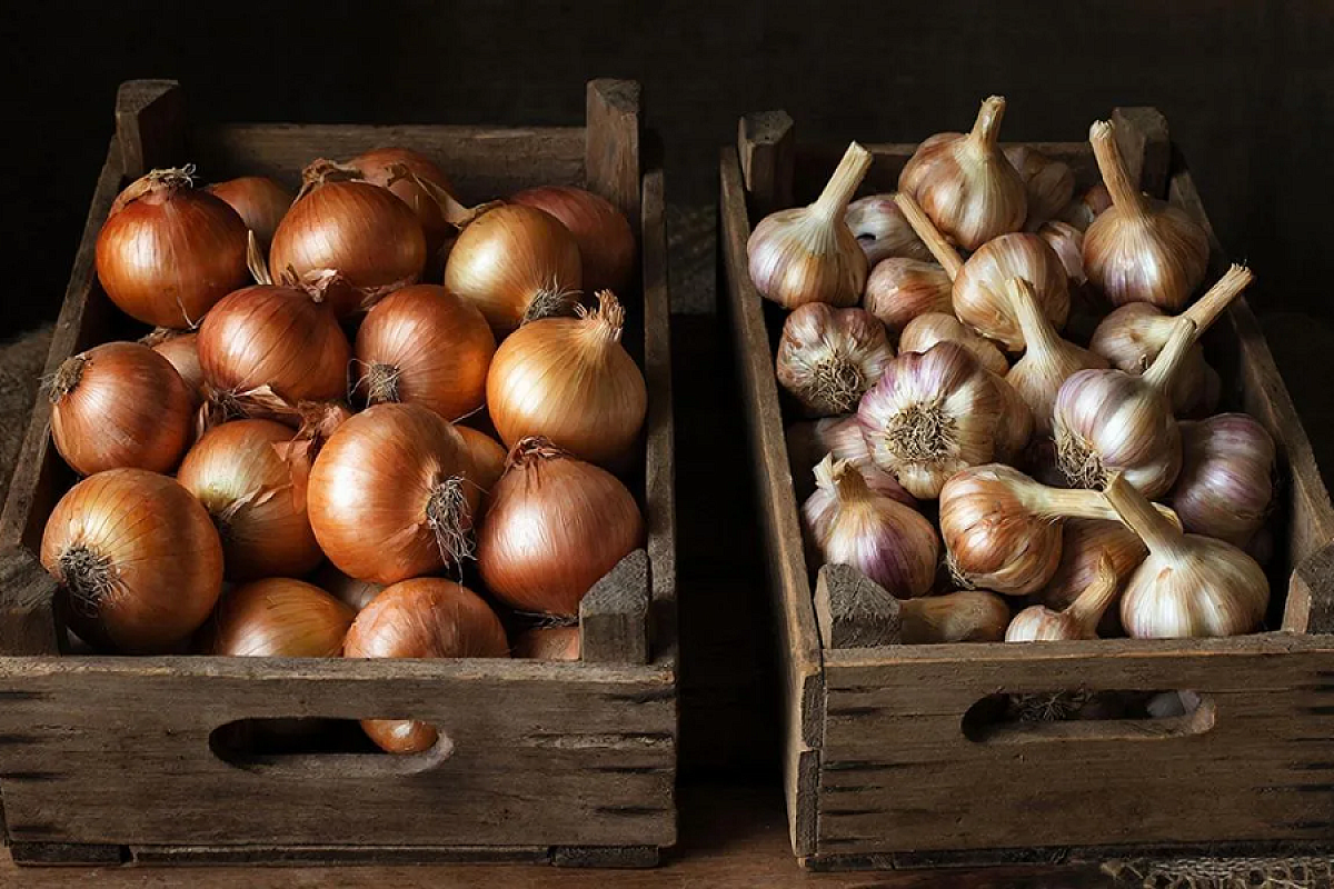    Деревянные ящики – максимально подходящая тара для хранения лука и чеснока.