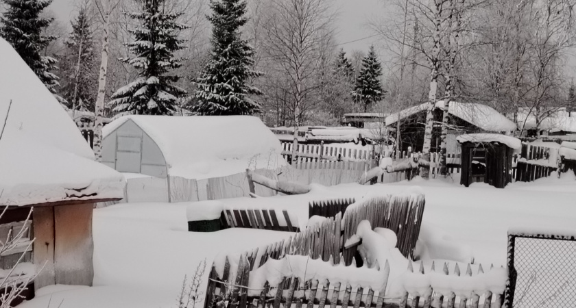    фото из архива редакции