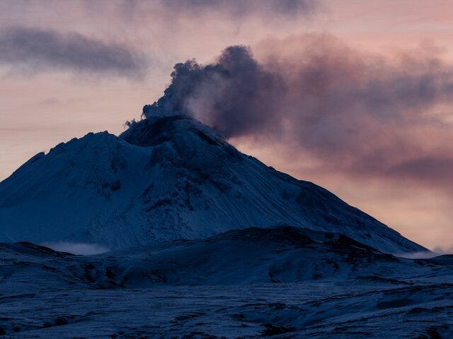    Фото: ТАСС/Елена Верещака