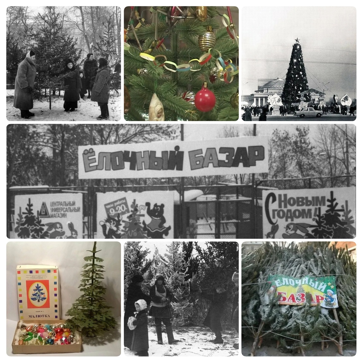 Коллажи в статье авторские