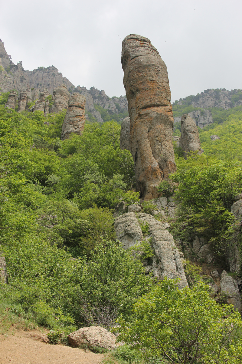 Страж Долины привидений