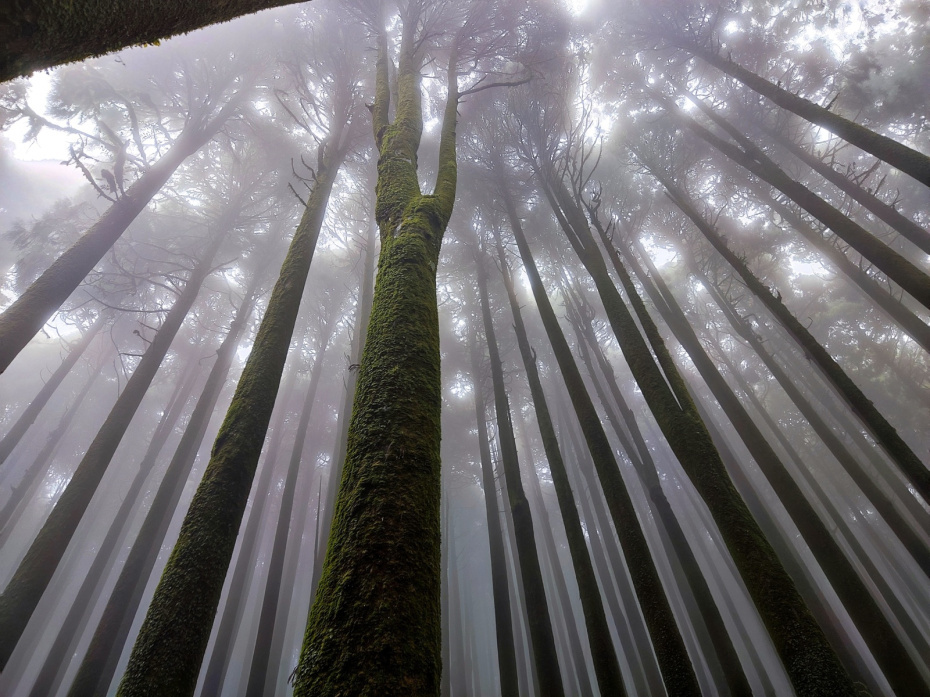    Shutterstock/FOTODOM