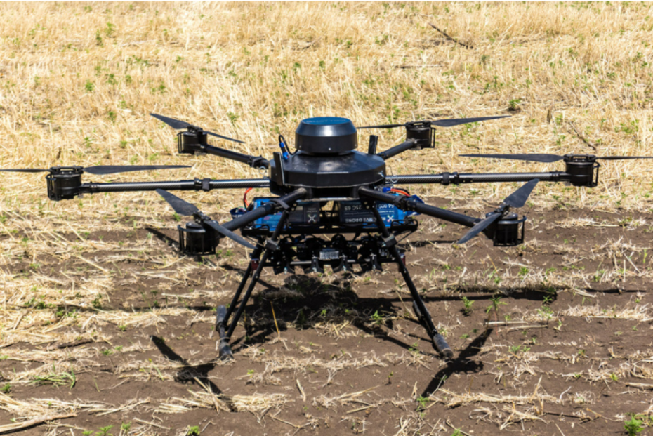    Shutterstock/FOTODOM