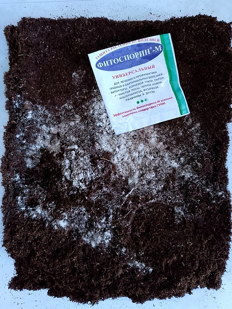 Добавил в субстрат и забыл о плесени