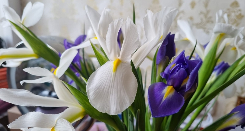    Фото Анастасии Дмитриевой