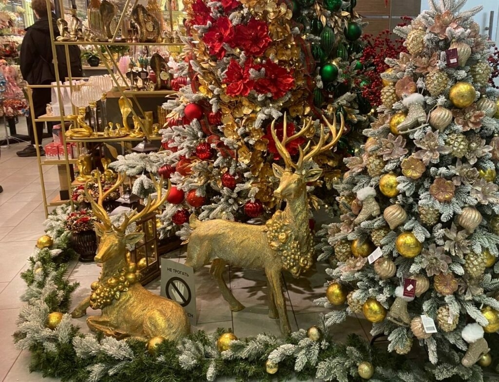    Фото: Neva.Today/Алена Васина