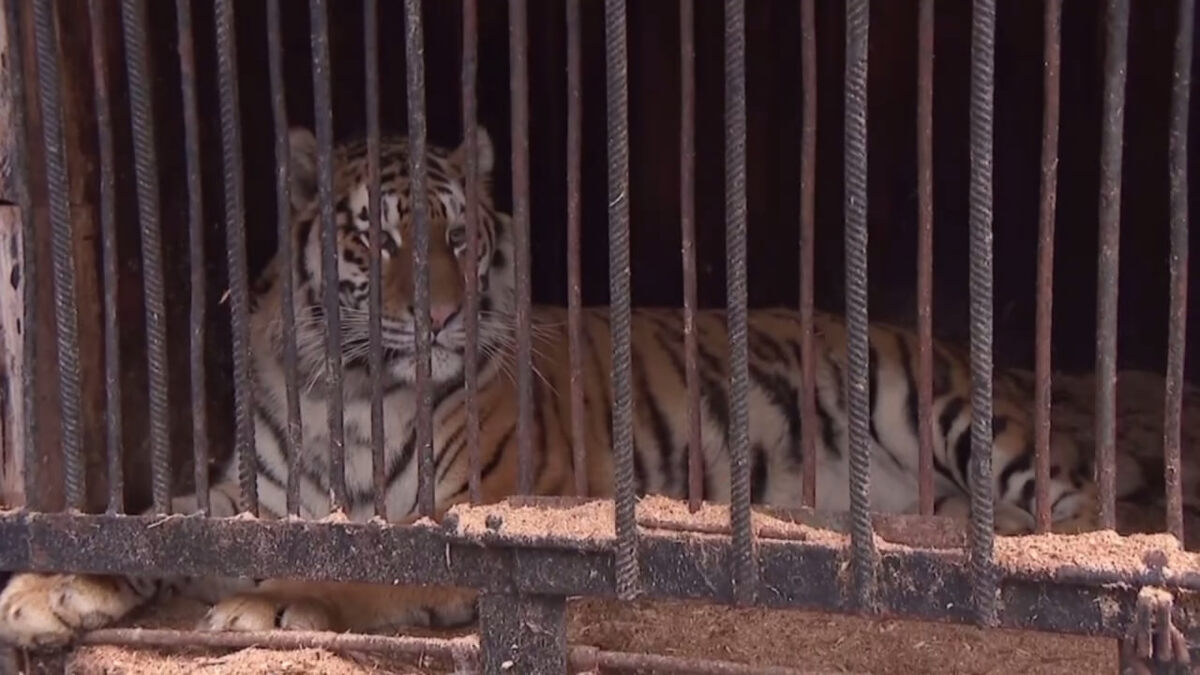    Фото: пресс-служба прокуратуры РБ