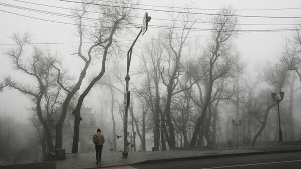    © Sputnik / Виталий Аньков