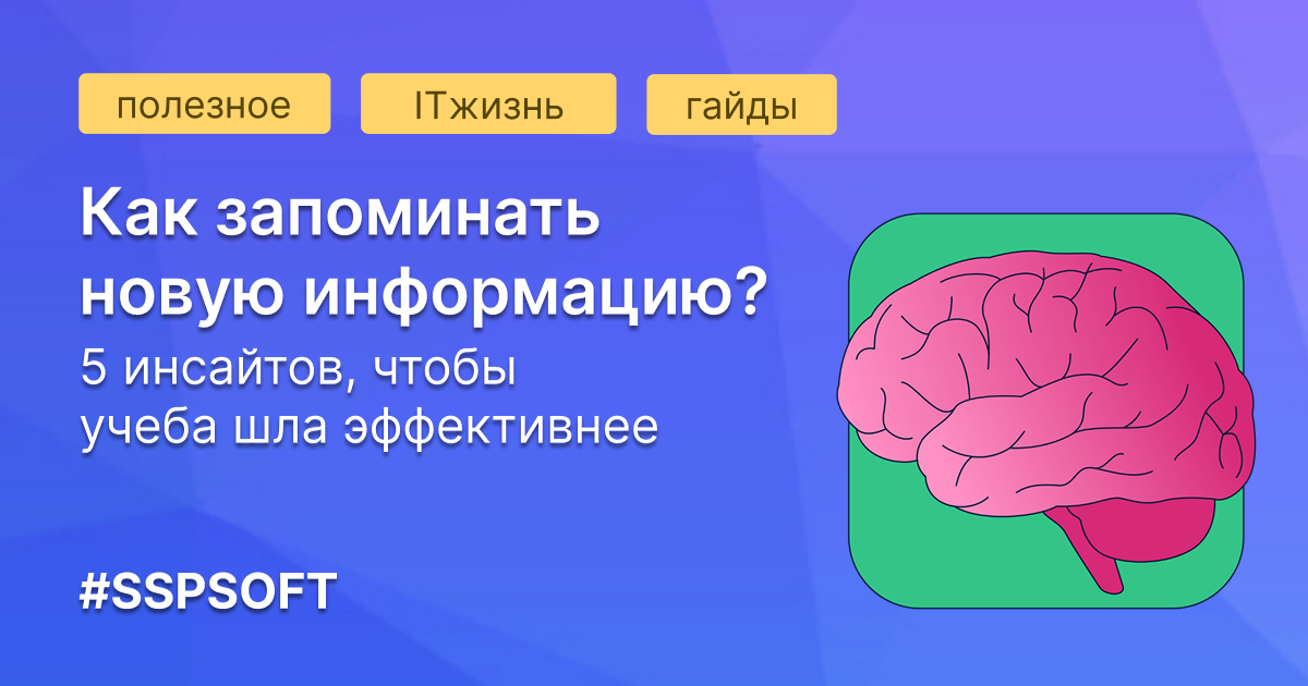 Как запоминать информацию
