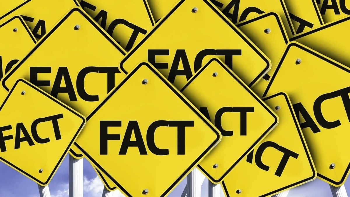 Изображение взято из открытого источника.