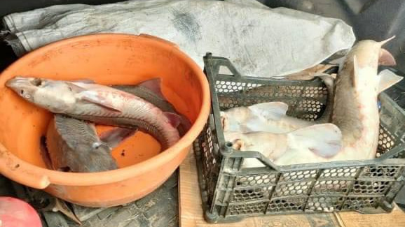    Прокуратура Омской области