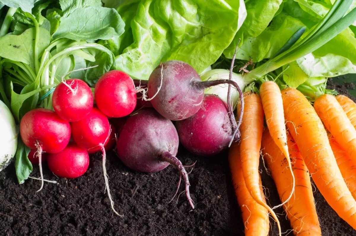    Не забывайте о русских зимних суперфудах, которые дадут фору заморским и дорогим овощам.