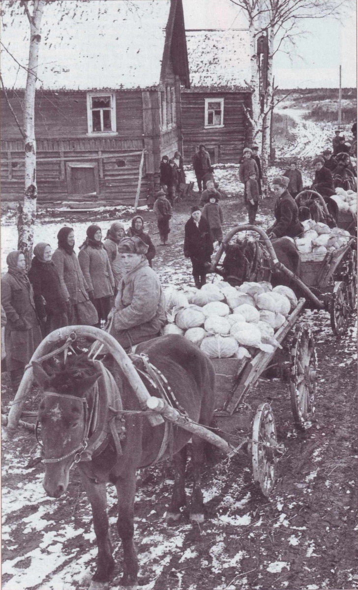    Красный обоз колхоза "Пролетарий" Киришского района Ленинградской области направляется на заготовительный пункт. 1946 г. / Фото: РГАКФД / из архива журнала "Родина"