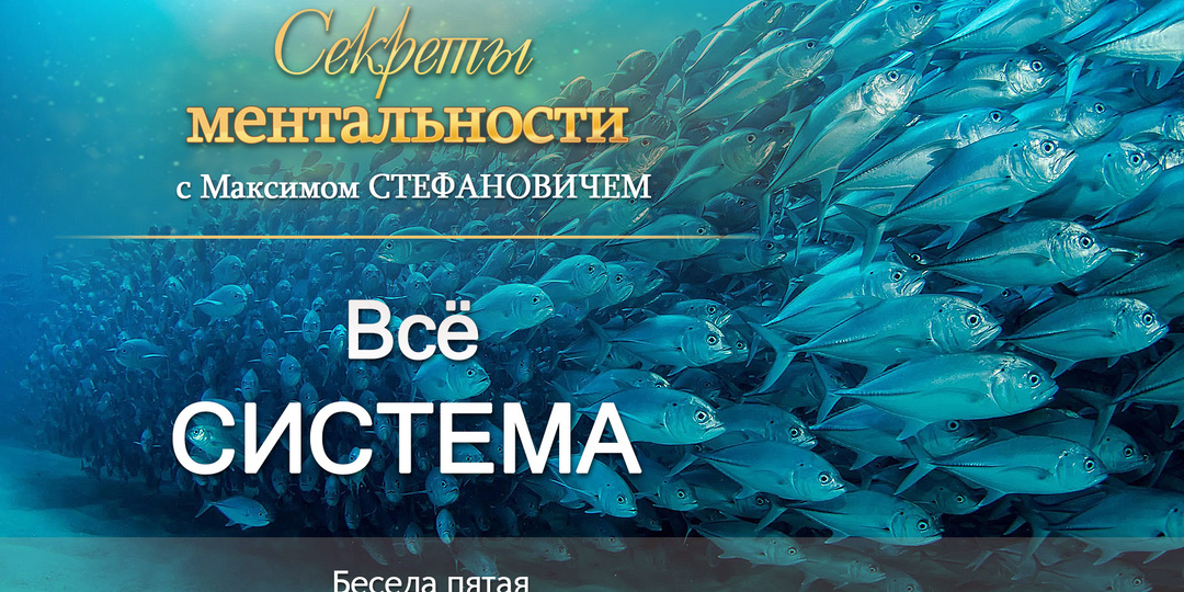 Беседа пятая. Всё - СИСТЕМА.
