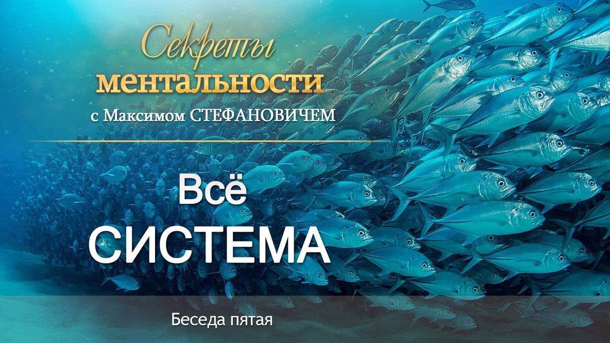 Всё, что нас окружает – есть набор миллиардов самых разных систем и подсистем.