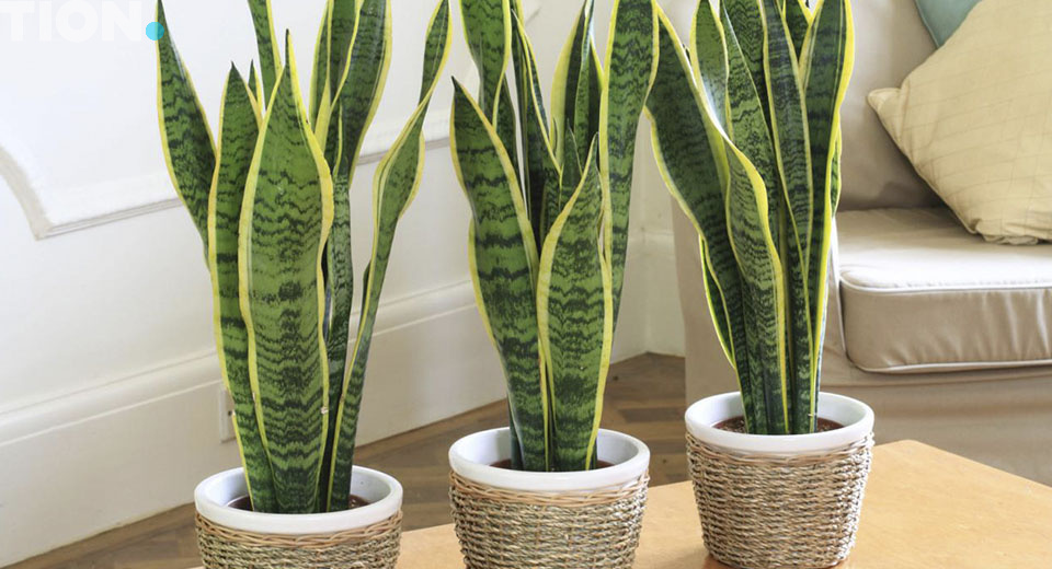 Источник фото: https://vapt-storage.storage.yandexcloud.net