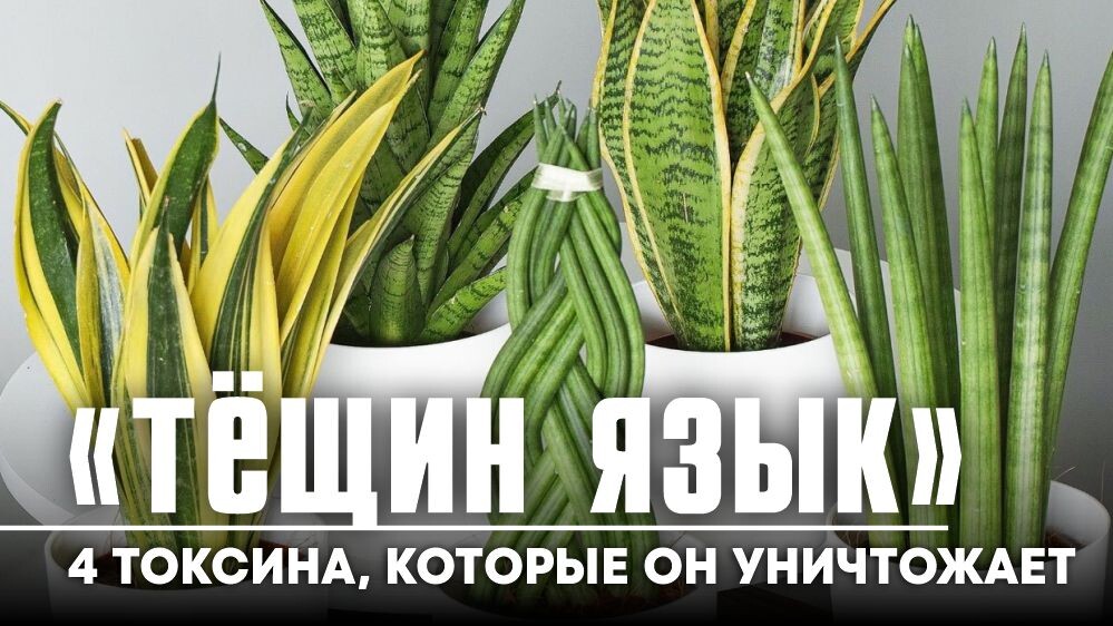 Картинка для обложки статьи