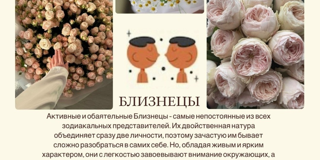 Какие ЦВЕТЫ ПОДХОДЯТ знакам зодиака