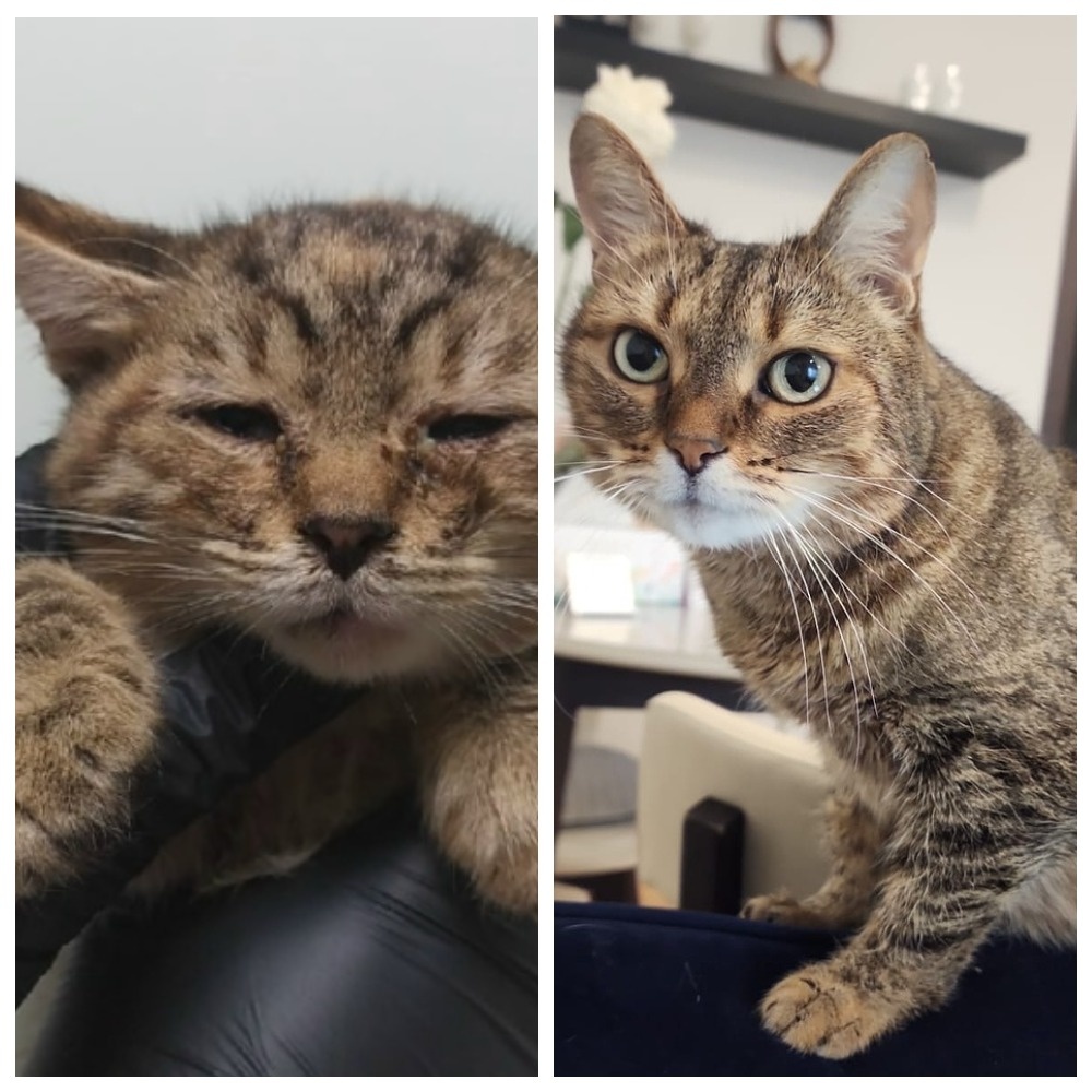 Лапонька Росинка повстречала своих людей 11 января 2023 года.