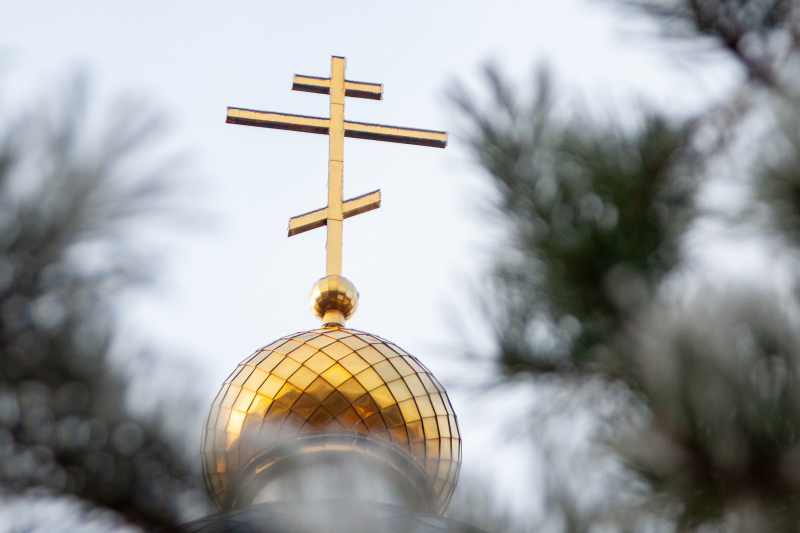    Фото: Oksana Korol/Business Online/Globallookpress