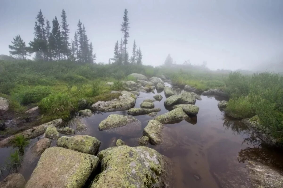    В Красноярском крае увеличили территорию природного парка «Ергаки»
