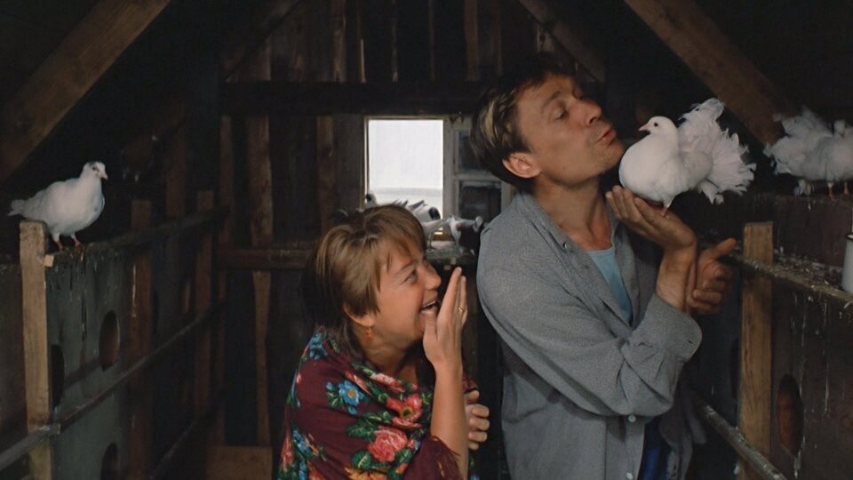 Немного не так у него все там было, но в принципе похоже... Правда ,в отличии от героя фильма, мой свою жену побаивался до дрожи в коленках 