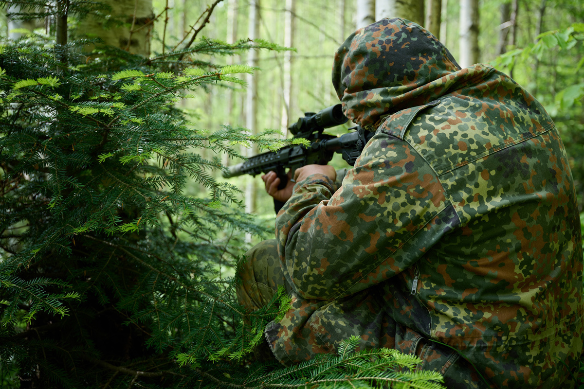    Фото: dr.D / Shutterstock.com