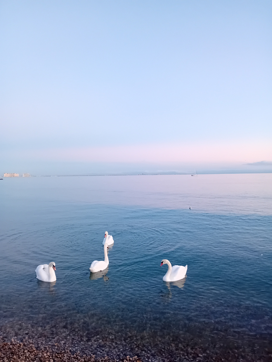 Авторское фото.