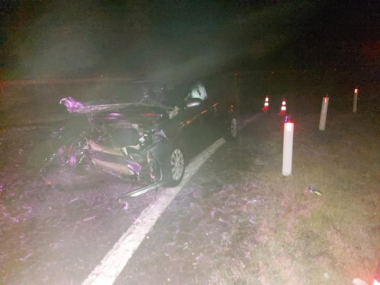     Фото: 67.мвд.рф