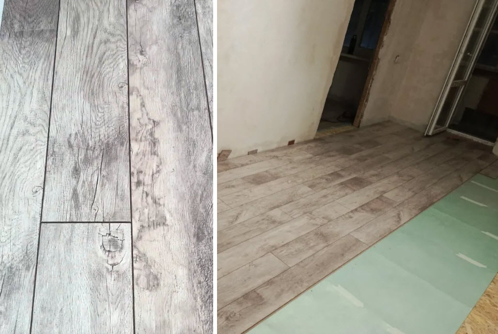 Фото: из открытых источников