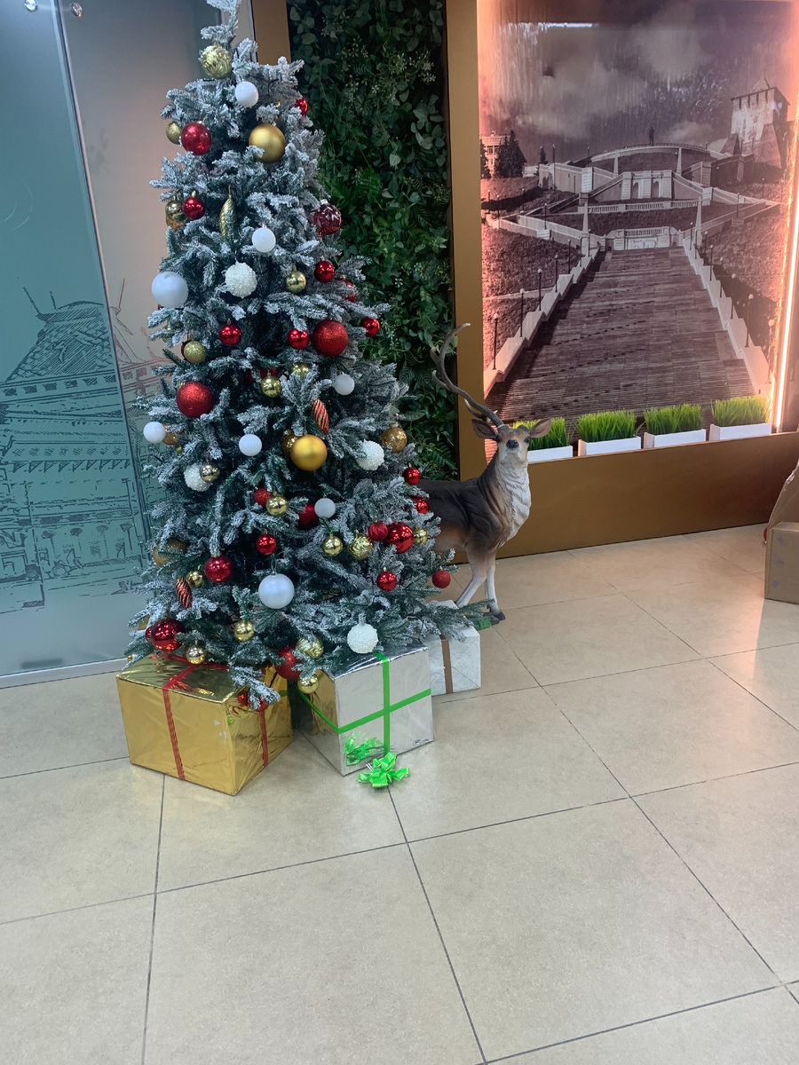 Олень где то один рог потерял)