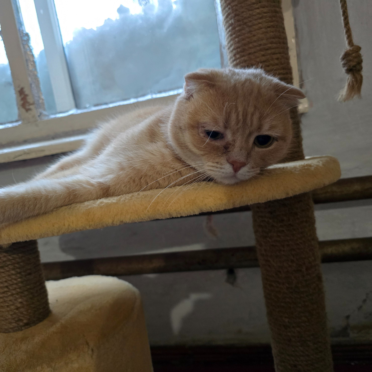 грустные глаза ищут понимание в пустоте