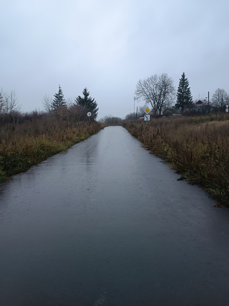 В понедельник утром опять был дождь. Я вышла без зонта, где-то на середине пути дождь меня и застал, в автобус зашла немного промокшая. 