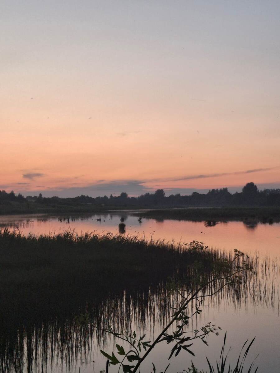 Просто красивое фото для иллюстрации