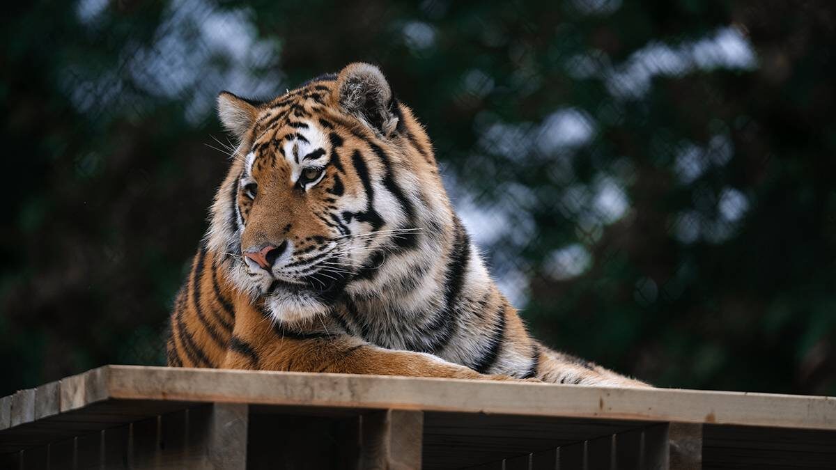    Фото: Shutterstock