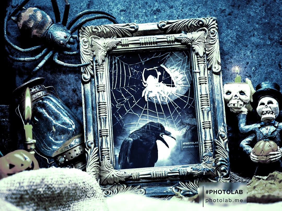 Фотоколлаж автора статьи