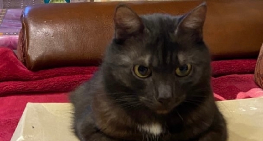    Фото редакции