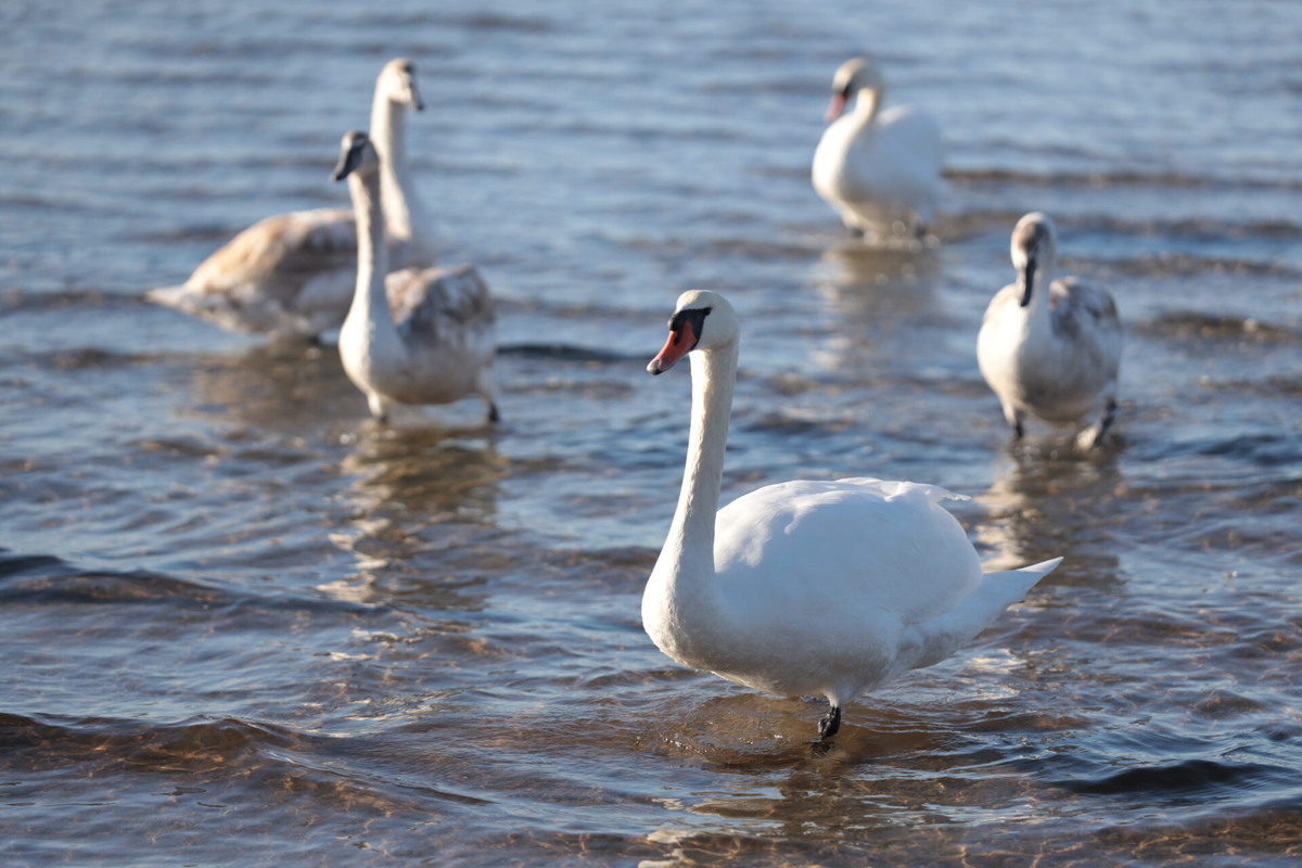    Фото: ТРК Таврия