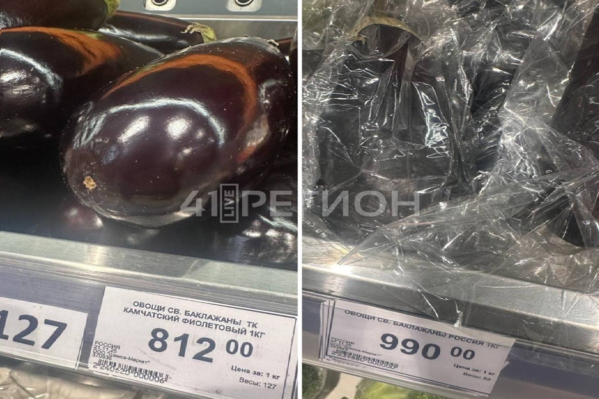    Фото: 41 Регион. LIVE, источник t.me/live_41