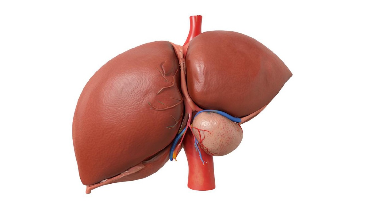    Фото сгенерировано Kandinsky 4.1