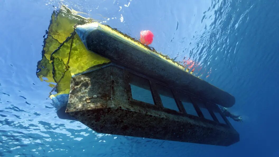    фото: Norbert Probst/imageBROKER.com/Globallookpress