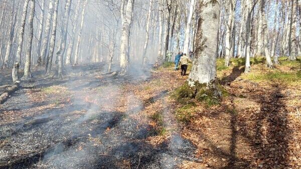    © Photo : Пресс-служба МЧС РЮО