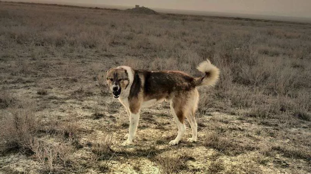 Чего мы боимся, то к нам приближается