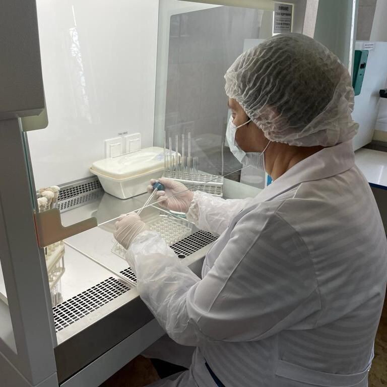    Фото: Госветслужба Забайкалья