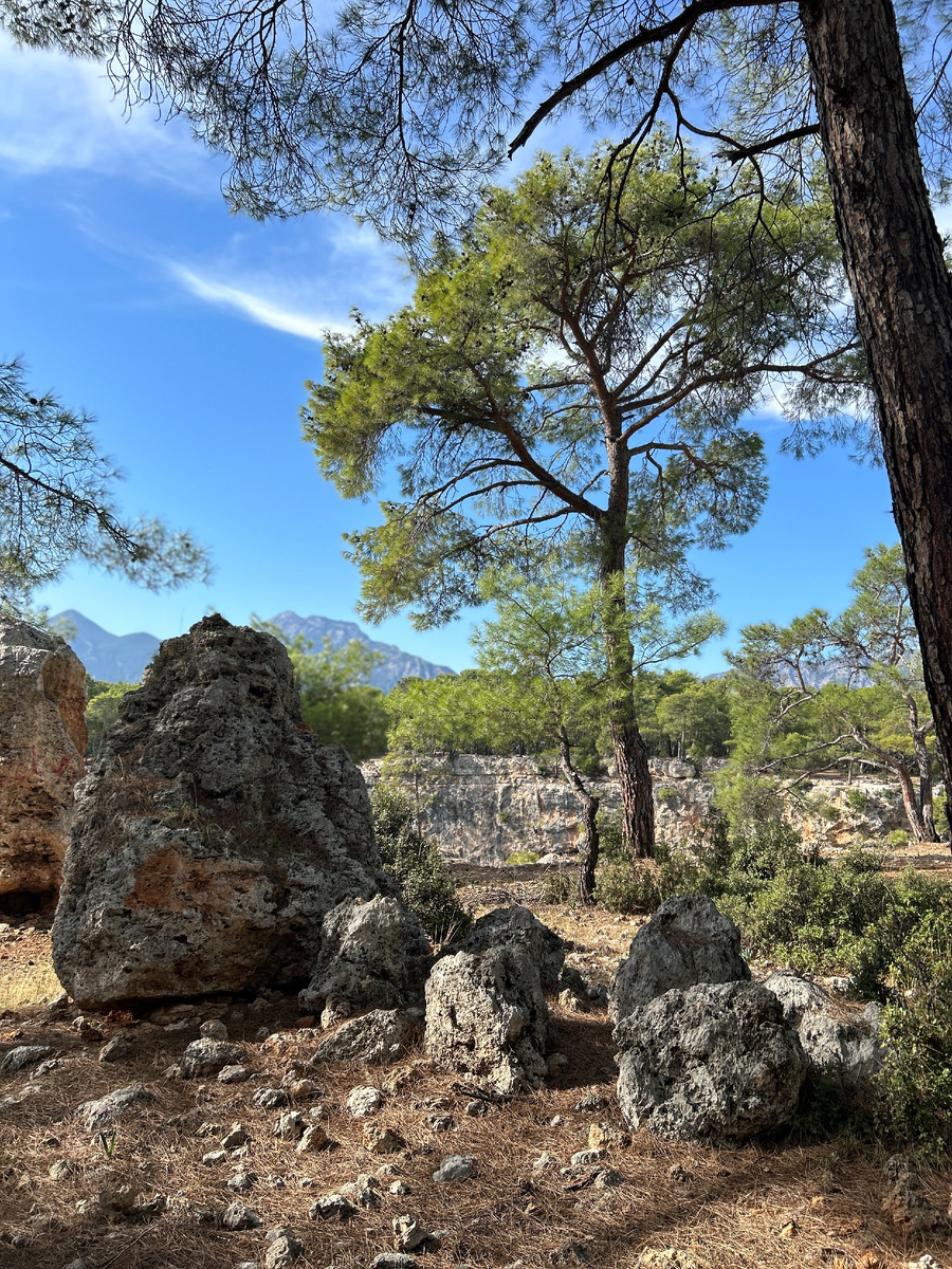 Каньон Гювер. Листайте дальше, чтобы увидеть больше.