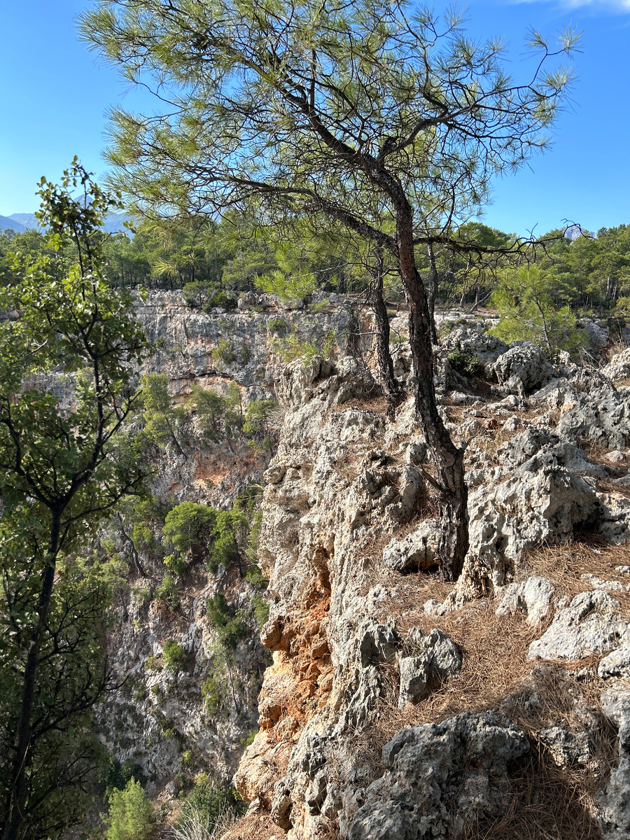 Каньон Гювер. 